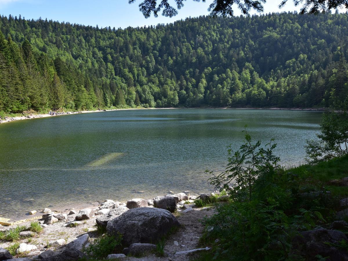 Вилла Quaint Chalet In La Bresse With Sauna Экстерьер фото